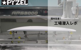 PYZEL